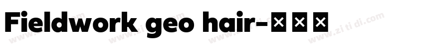 Fieldwork geo hair字体转换